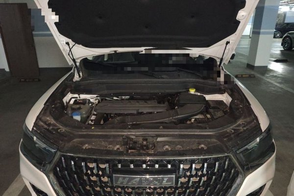 Haval H6 2023, 29900 км, за 11512 USD - фото 17