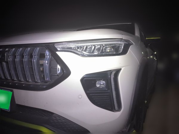 Haval LHERY · 2021 год