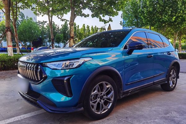 Haval LHERY · 2022 год