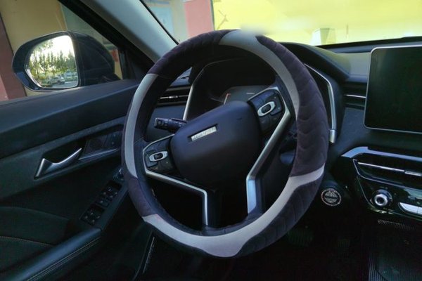 Haval LHERY 2022, 25600 км, за 12633 USD - фото 9