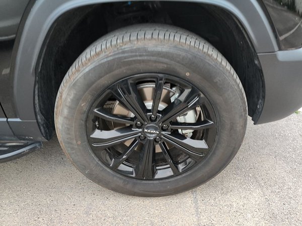 Haval Raptor New Energy 2024, 8900 км, за 20696 USD - фото 8