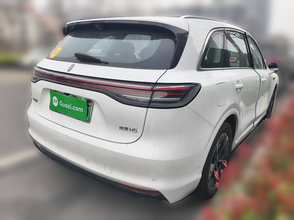 Hima H5 2025, 3900 км, за 29229 USD - фото 6