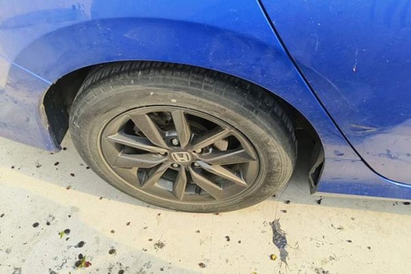 Honda Civic 2019, 63500 км, за 9853 USD - фото 16