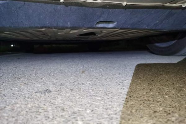 Honda Civic 2019, 53600 км, за 9912 USD - фото 24