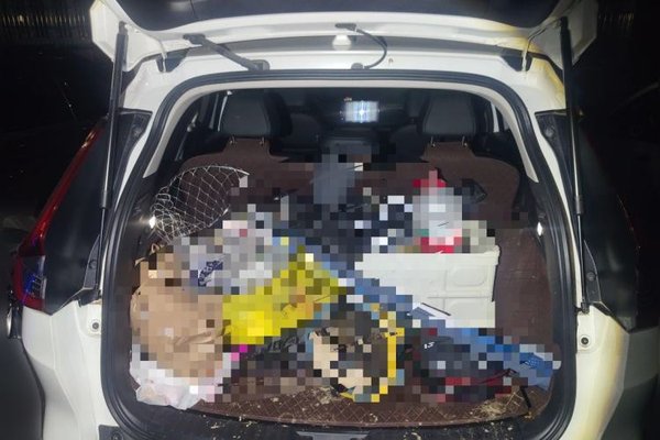 Honda CR-V 2024, 29200 км, за 19038 USD - фото 19