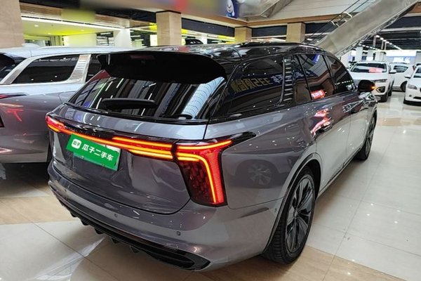 Hongqi E-HS9 2021, 37300 км, за 27473 USD - фото 6