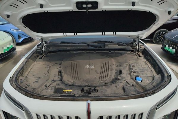 Hongqi E-HS9 2022, 10700 км, за 37712 USD - фото 24