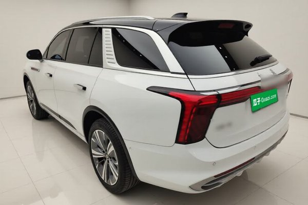 Hongqi E-HS9 2022, 10700 км, за 37712 USD - фото 8
