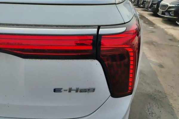Hongqi E-HS9 2022, 10700 км, за 37712 USD - фото 9