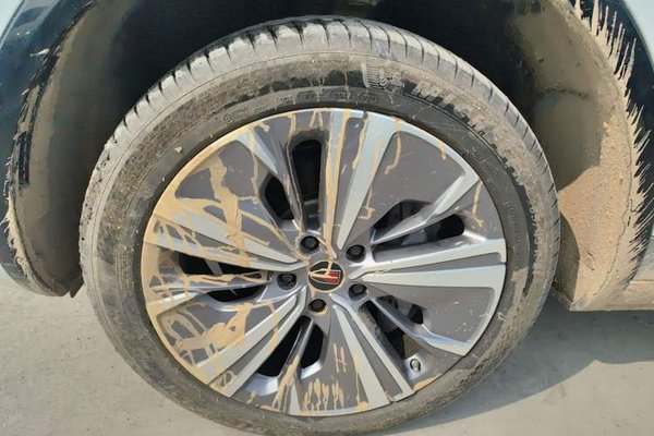 Hongqi E-HS9 2022, 10700 км, за 37712 USD - фото 10