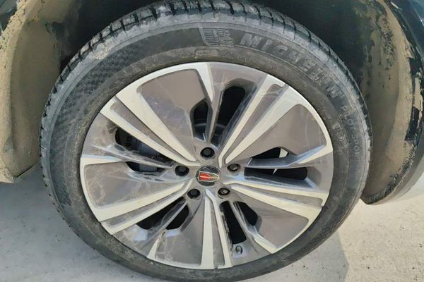Hongqi E-HS9 2022, 10700 км, за 37712 USD - фото 11