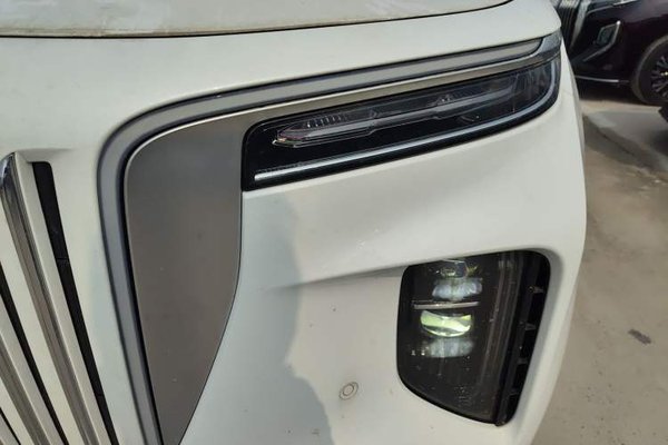 Hongqi E-HS9 2022, 10700 км, за 37712 USD - фото 6
