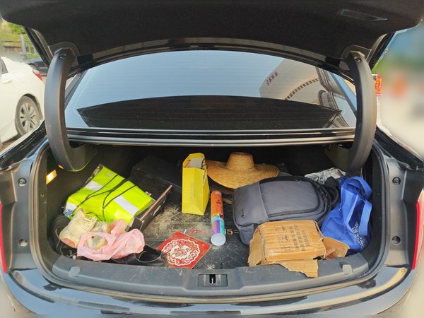 Hongqi E-QM5 2024, 59600 км, за 13516 USD - фото 20