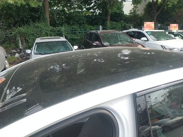 Hongqi EH7 2025, 1000 км, за 20924 USD - фото 11
