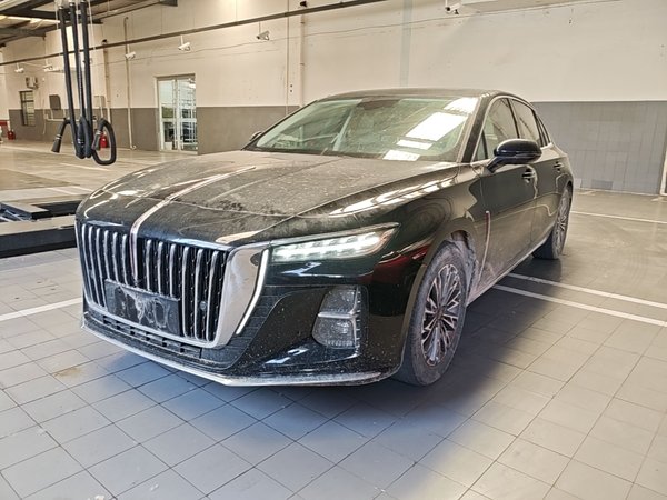 Hongqi H5 · 2024 год