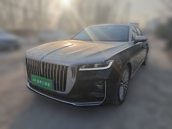 Hongqi H9 · 2020 год