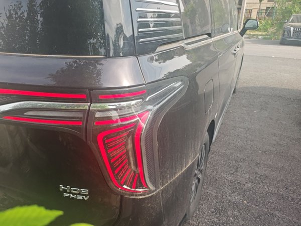 Hongqi HQ9 PHEV 2024, 13600 км, за 33633 USD - фото 7