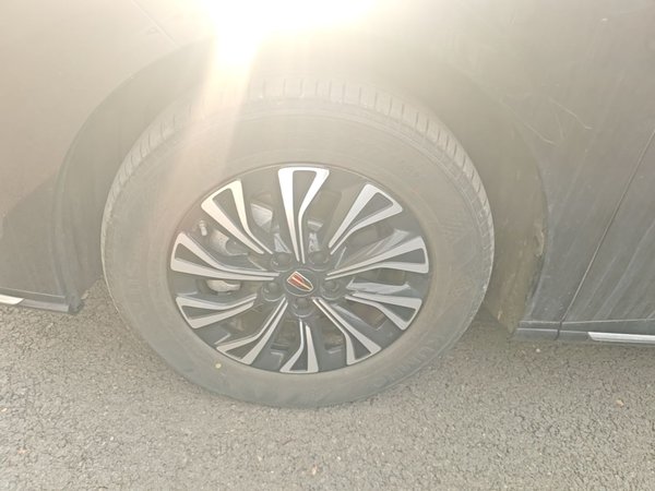 Hongqi HQ9 PHEV 2024, 22300 км, за 33633 USD - фото 8
