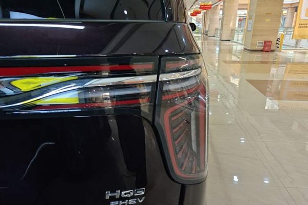 Hongqi HQ9 PHEV 2024, 24100 км, за 32620 USD - фото 9
