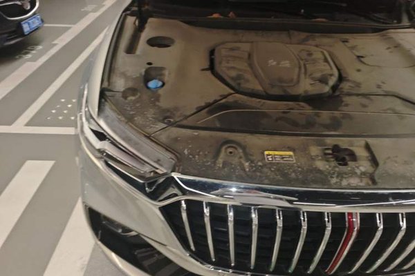 Hongqi HS5 2019, 61600 км, за 10224 USD - фото 23