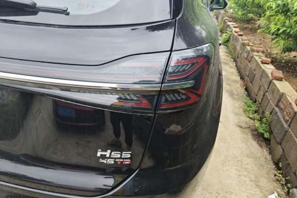 Hongqi HS5 2026, 100 км, за 22309 USD - фото 9
