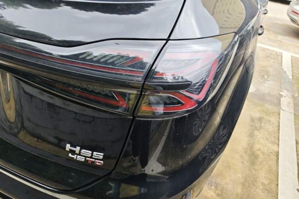 Hongqi HS5 2026, 100 км, за 22382 USD - фото 9