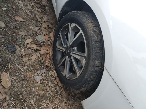 Horki 300E 2017, 7300 км, за 6304 USD - фото 8