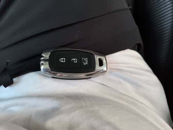 Hyundai Lafesta 2019, 71300 км, за 7284 USD - фото 9