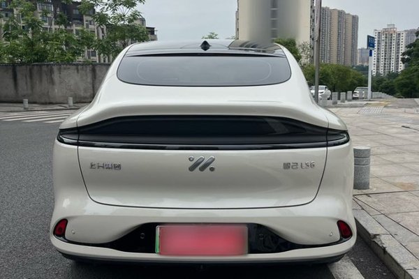 IM LS6 2023, 51500 км, за 20855 USD