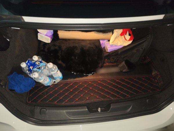 Jaguar XEL 2022, 23700 км, за 22536 USD - фото 12