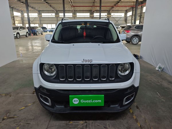 Renegade 2017 180T Automatic High-Energy Version, 2017 года