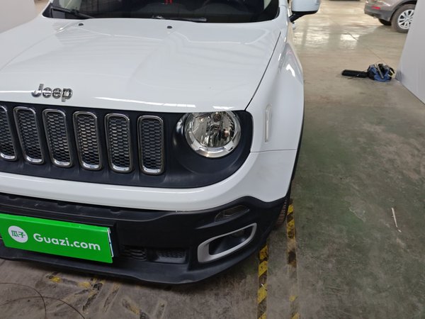 Renegade 2017 180T Automatic High-Energy Version, 2017 года