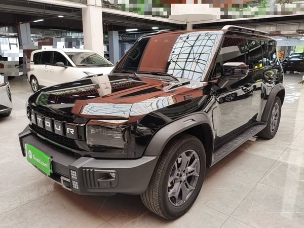 JETOUR Shanhai Traveler C-DM · 2024 год