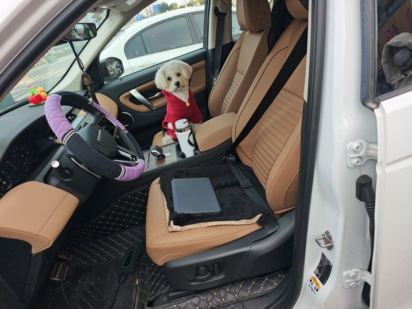 Land Rover Discovery Sport 2025, 5900 км, за 30386 USD - фото 16