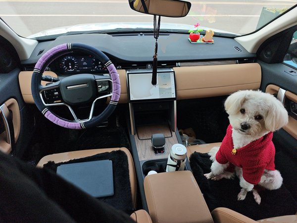 Land Rover Discovery Sport 2025, 5900 км, за 30386 USD - фото 10