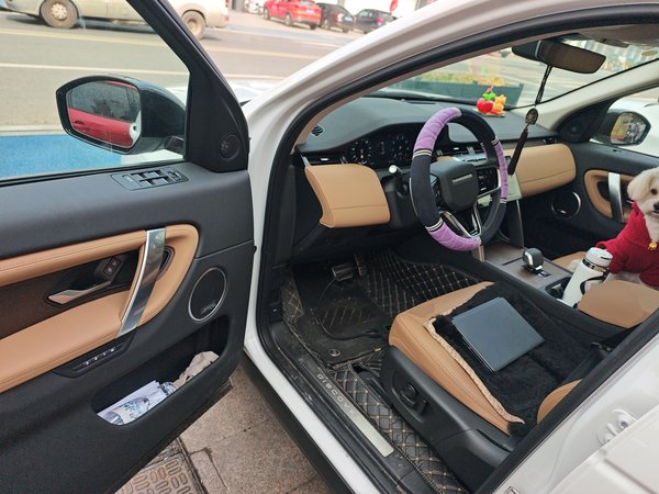 Land Rover Discovery Sport 2025, 5900 км, за 30386 USD - фото 17