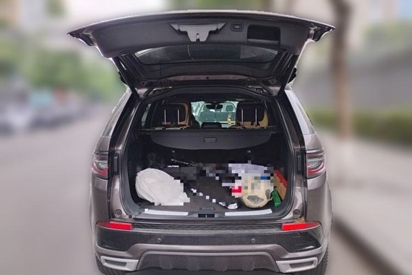 Land Rover Discovery Sport New Energy 2022, 22300 км, за 20109 USD - фото 16