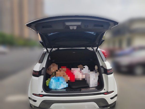 Land Rover Range Rover Evoque 2020, 33600 км, за 22380 USD - фото 11