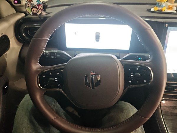 Leapmotor C11 2021, 64800 км, за 14591 USD - фото 11