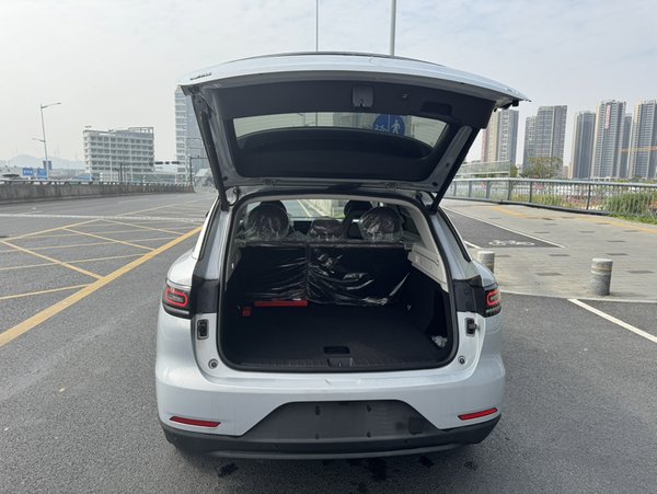 Leapmotor C11 2023, 100 км, за 17789 USD - фото 9