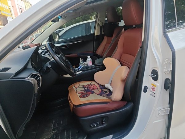 Lexus NX 2016, 99300 км, за 14892 USD - фото 12
