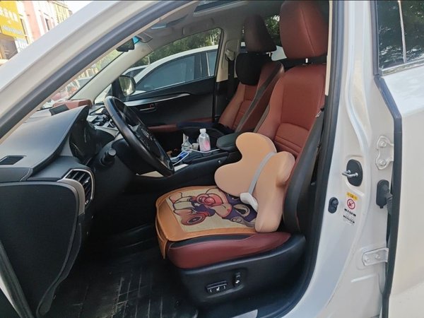 Lexus NX 2016, 99300 км, за 14892 USD - фото 15