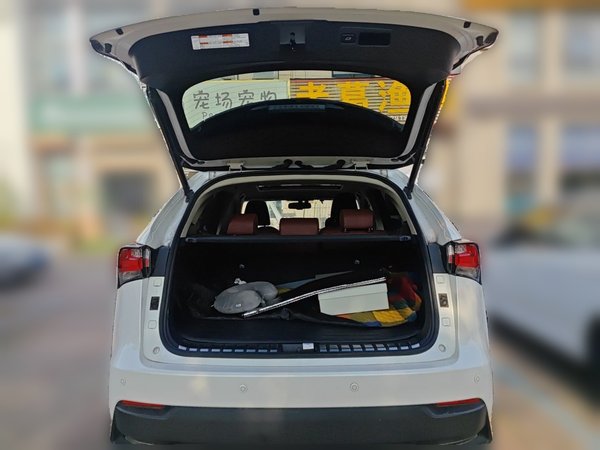 Lexus NX 2016, 99300 км, за 14892 USD - фото 14