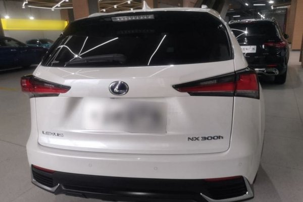 Lexus NX 2018, 80399 км, за 24208 USD