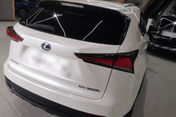 Lexus NX 2018, 80399 км, за 24208 USD - фото 6