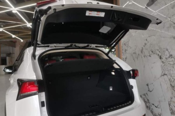 Lexus NX 2018, 80399 км, за 24208 USD - фото 22