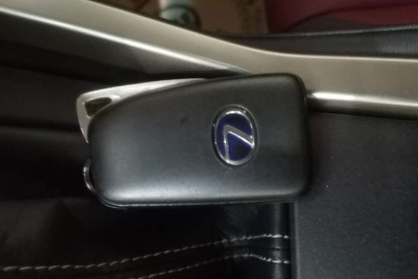 Lexus NX 2018, 80399 км, за 24208 USD - фото 12