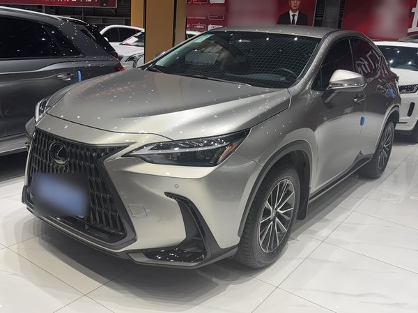 Lexus NX · 2024 год