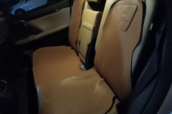 Lexus RX 2016, 68400 км, за 22693 USD - фото 27