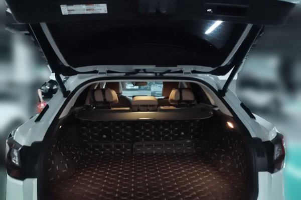 Lexus RX 2016, 68400 км, за 22693 USD - фото 29